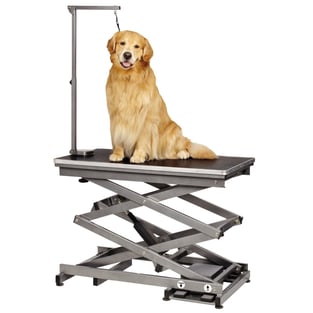Dog Grooming table.jpg